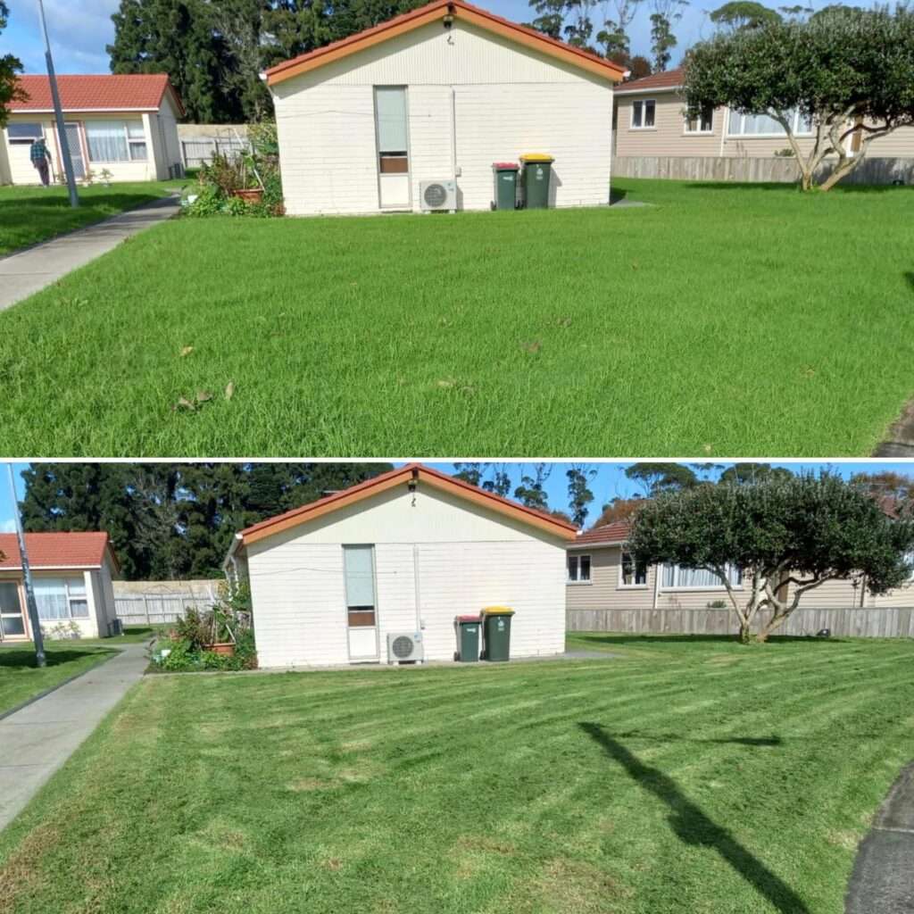 Lawn services auckland