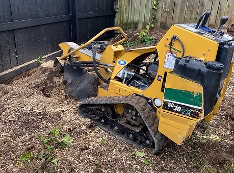 tree stump removal
